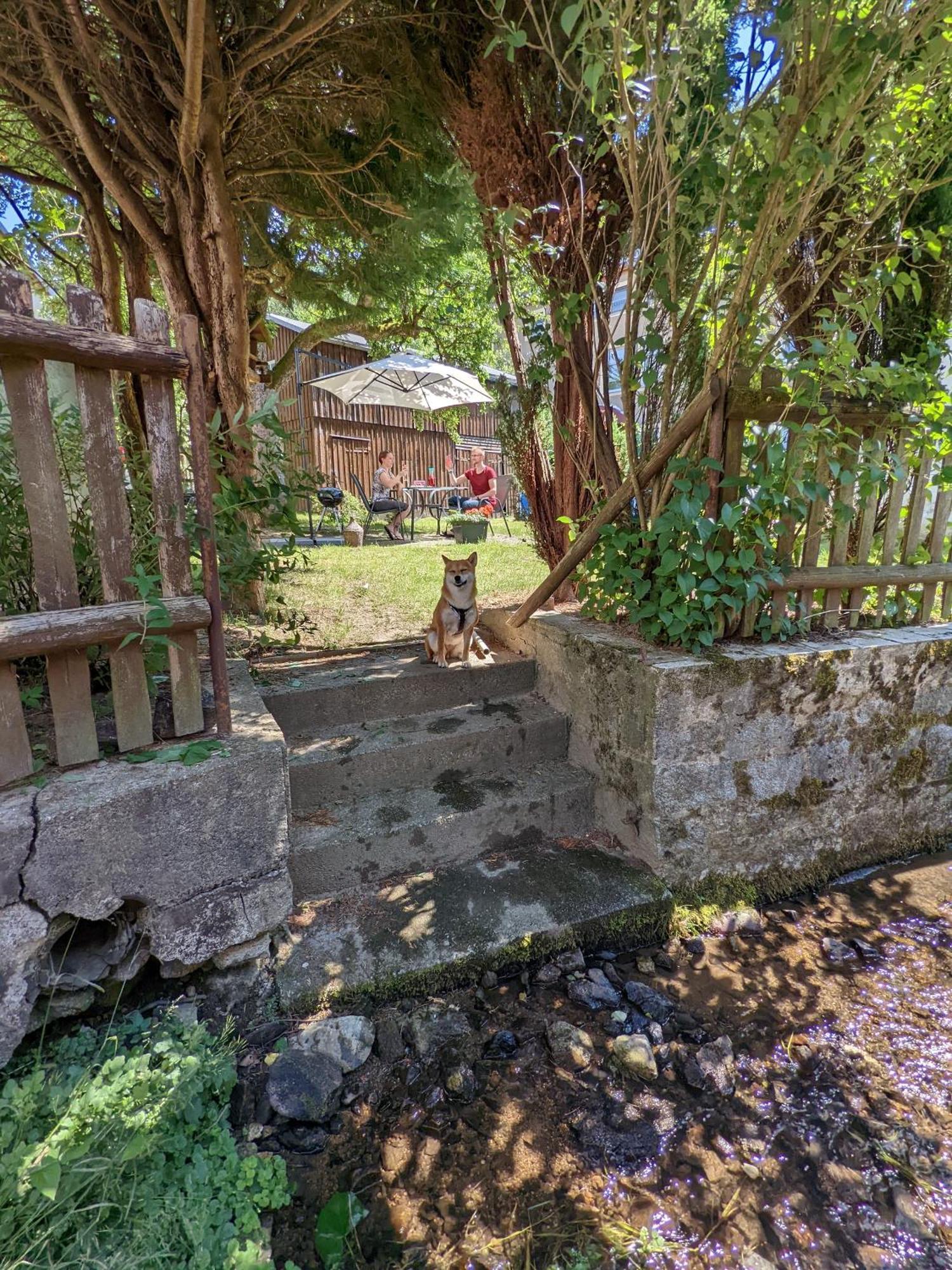 H2 - Urlaubsmagie - Garten, Pool, Terrasse, Grill Sebnitz Dış mekan fotoğraf